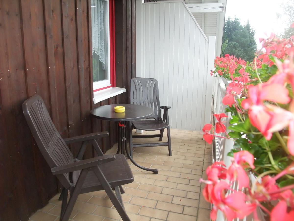 Ferienhaus Hubertus In Elend Mit Balkons Kültér fotó